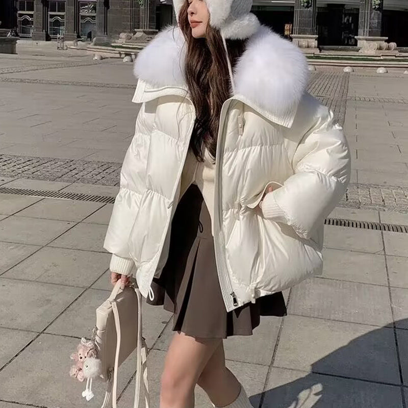 Down Cotton-padded Jacket Fur Collar for winter