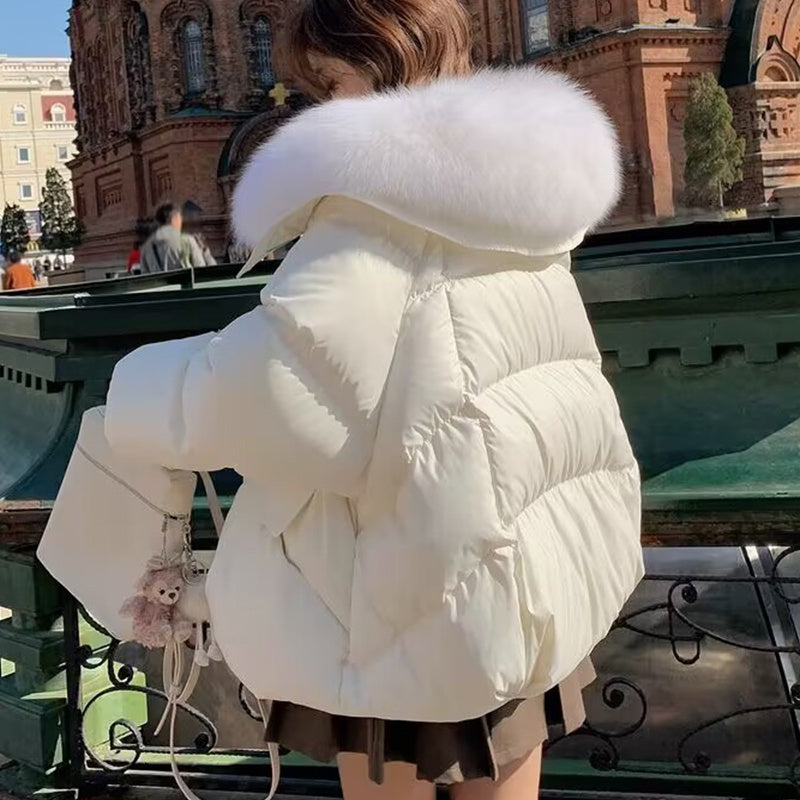 Down Cotton-padded Jacket Fur Collar for winter