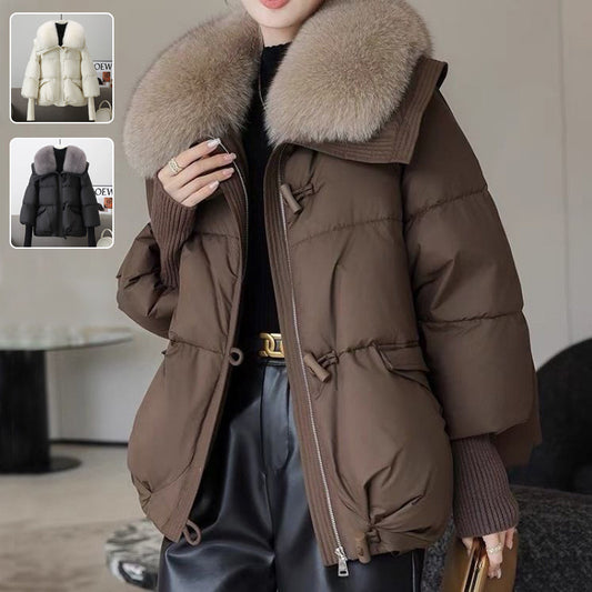 Down Cotton-padded Jacket Fur Collar for winter